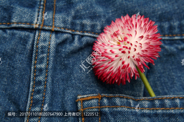 春季時(shí)裝
