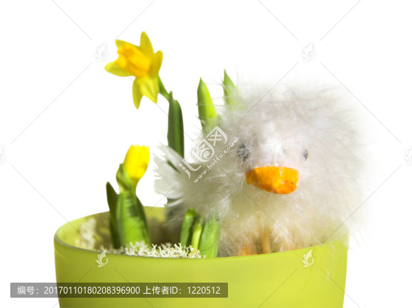 復(fù)活節(jié)雞羽毛3-匯圖網(wǎng) www.fosd68.com 復(fù)活節(jié)雞羽毛3