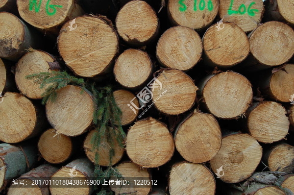 logs1