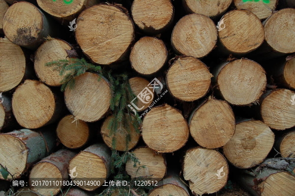 logs2
