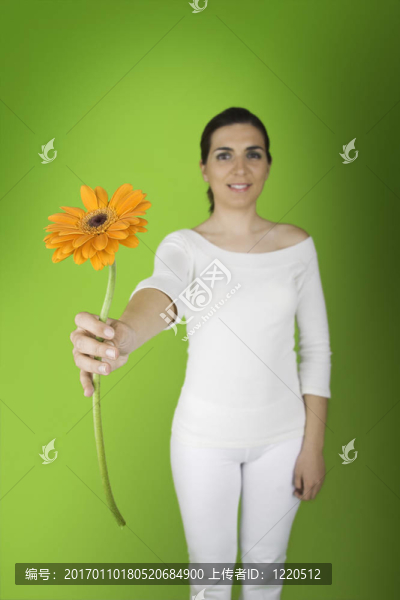 一朵花給你