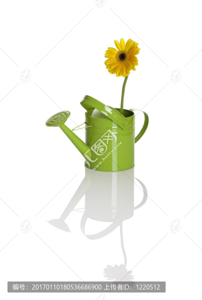 綠色澆水可以用一朵花