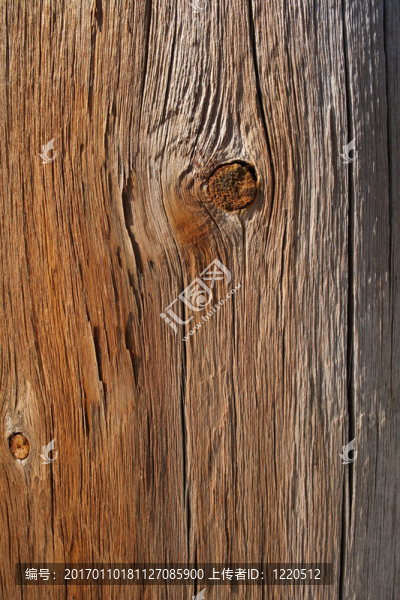 破解疑難木材紋理