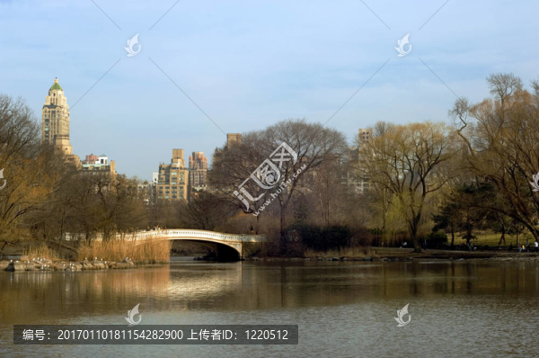 中央公園