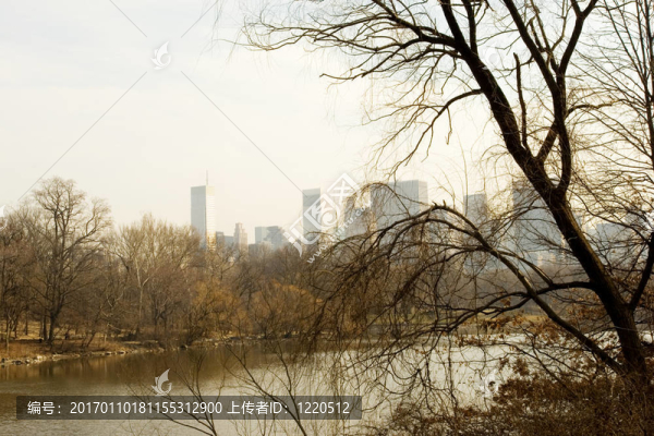 下午在中央公園