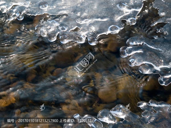 針葉林冬凍森林溪流-匯圖網(wǎng) www.fosd68.com 針葉林冬凍森林溪流