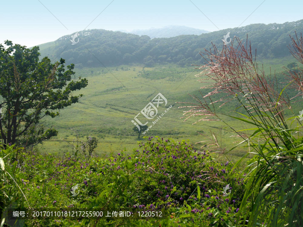 農(nóng)村的霧谷