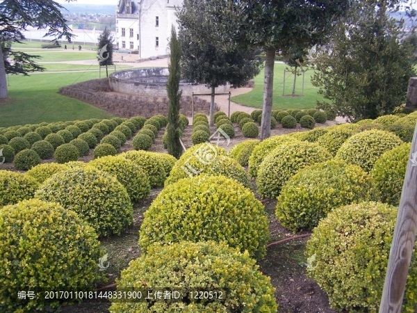 花園在Amboise