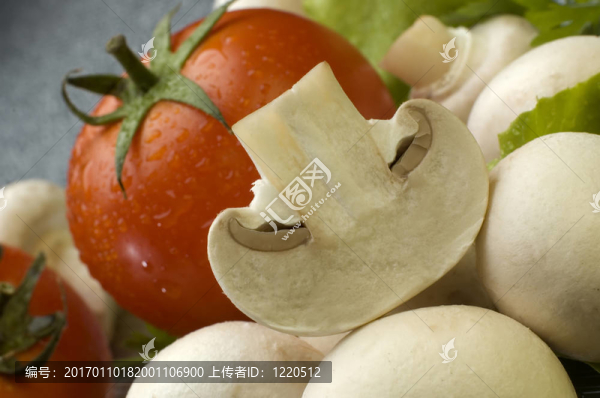 蘑菇