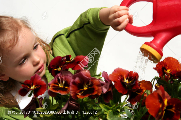小花匠