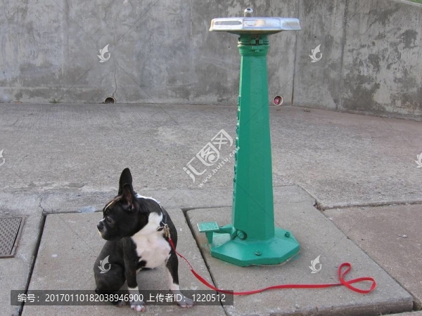 鉛2水