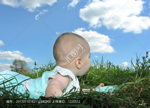 寶貝，回到我們的藥草