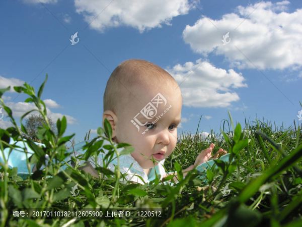 在藥草和天空的嬰兒