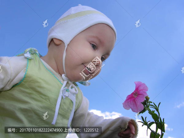 寶寶的花