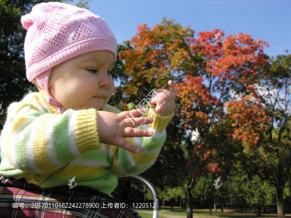 秋天的嬰兒。太陽