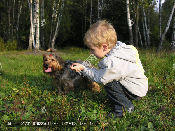 孩子與狗