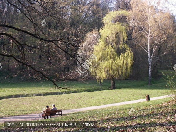 公園情侶