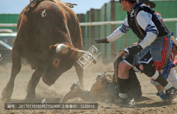 公牛Rodeo,Clown