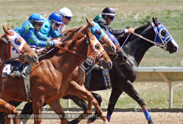 賽馬-匯圖網(wǎng) www.fosd68.com 賽馬