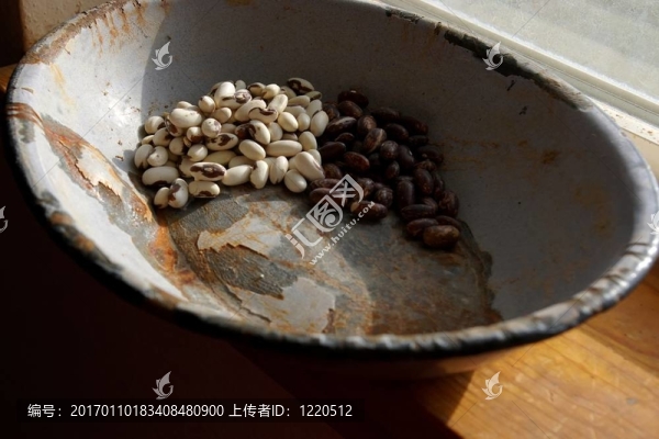 碗豆子