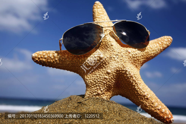 帶陰影的沙灘海星