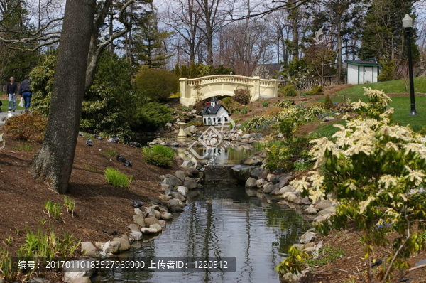 在公園里的小溪