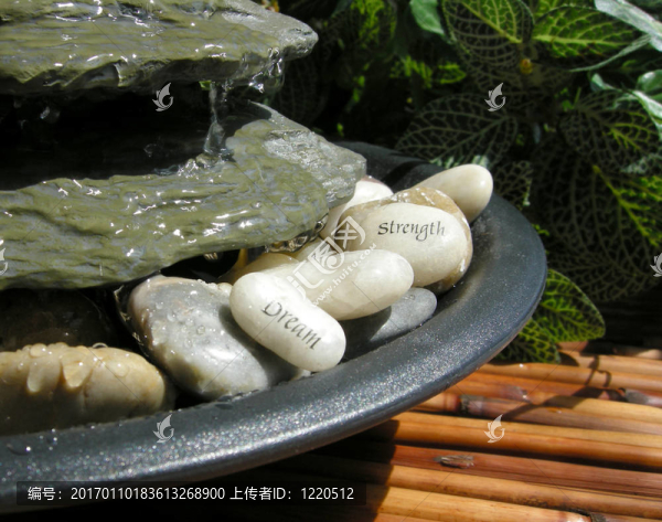 禪泉