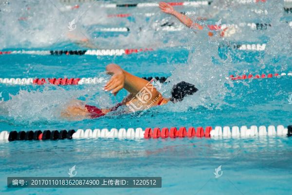 游泳決賽
