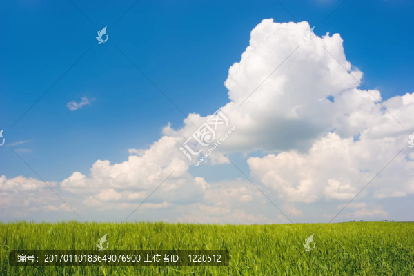 綠色景觀