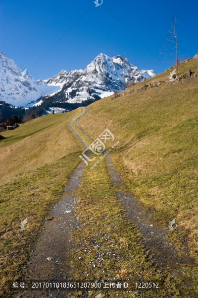 山上的小路