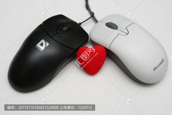 兩個計算機mousies