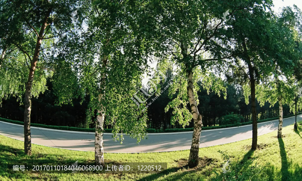 在公園散步。