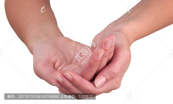 手.-匯圖網(wǎng) www.fosd68.com 手.