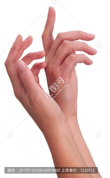 手.