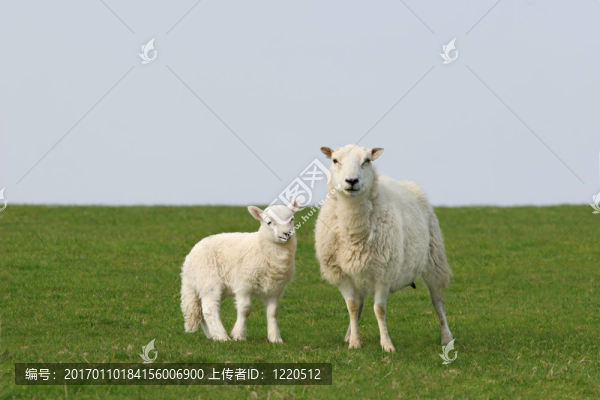 春天的本質(zhì)