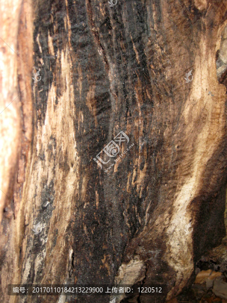 風化的Wood