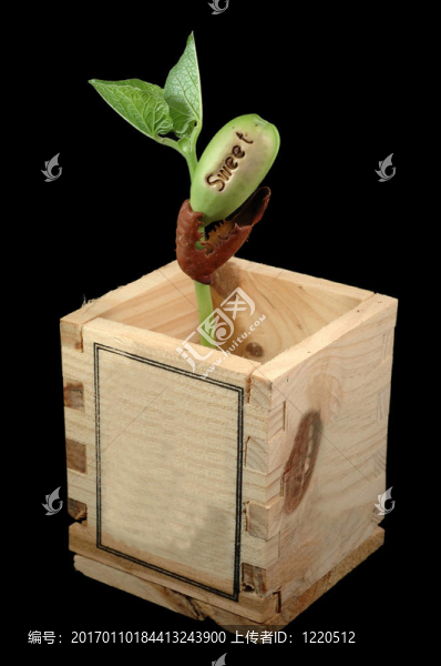 長(zhǎng)豆-匯圖網(wǎng) www.fosd68.com 長(zhǎng)豆