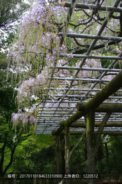 日本花園