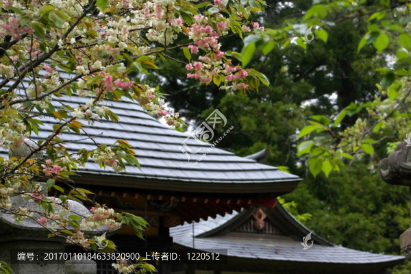 日本寺廟