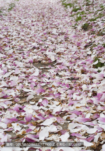 地毯Flowers
