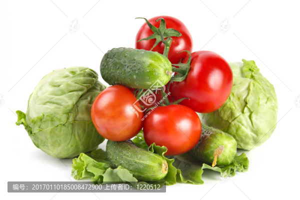 番茄；甘藍(lán)黃瓜和生菜