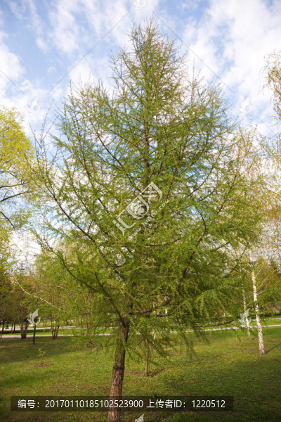 城市公園景觀-匯圖網(wǎng) www.fosd68.com 城市公園景觀