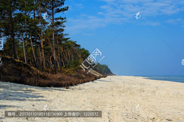 baltick海