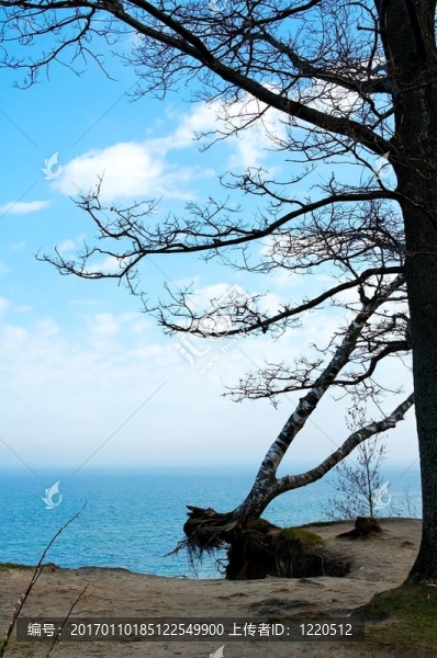 baltick海
