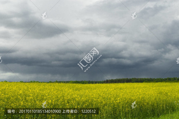 強奸
