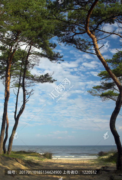 baltick海