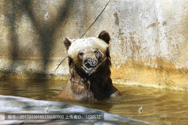 到底發(fā)生了什么