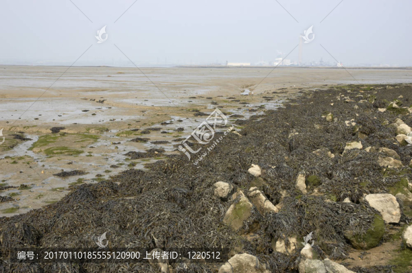 河口-匯圖網(wǎng) www.fosd68.com 河口