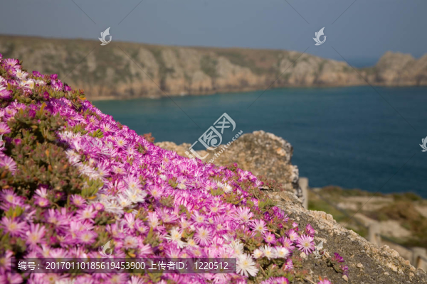 巖石花園