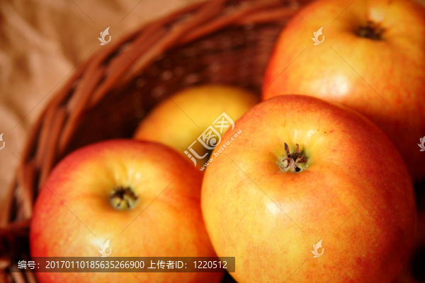 蘋(píng)果-匯圖網(wǎng) www.fosd68.com 蘋(píng)果